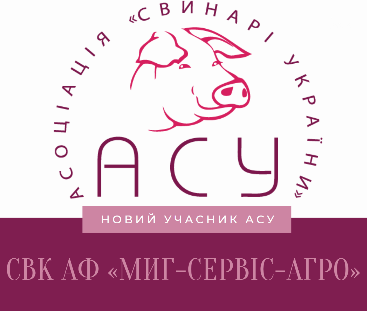 СВК АФ «Миг-Сервіс-Агро» — новий учасник Асоціації «Свинарі України»